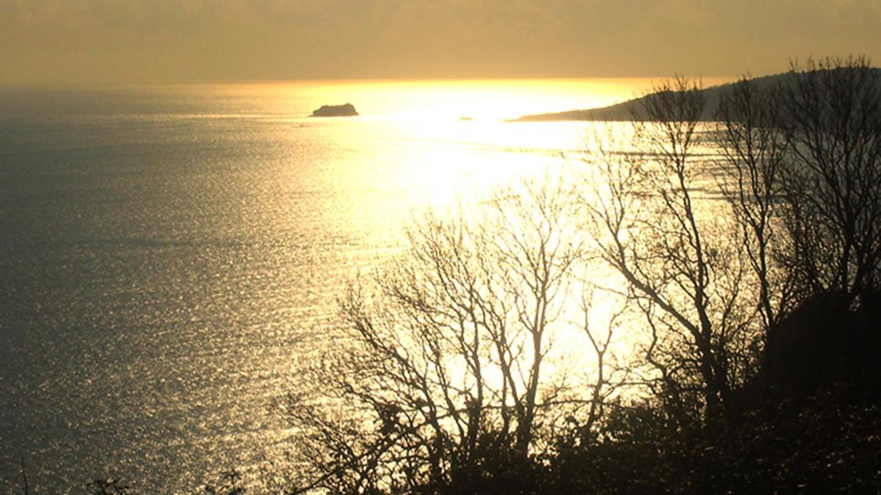 Beautiful Seaside One Bedroom Apartment Shaldon Bagian luar foto